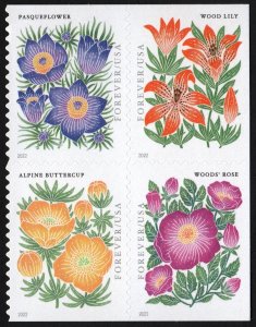 SC#5676-79 (Forever) Mountain Flora Block of Four (2022) SA