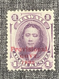 US Stamps-Hawaii SC# 53 - Used  - SCV $9:00