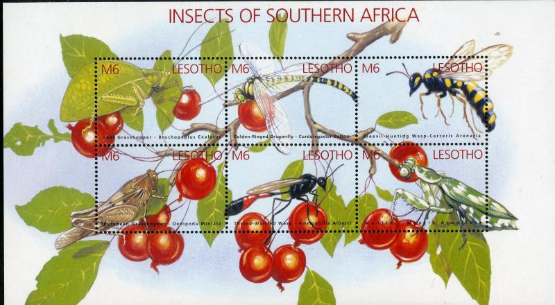 LESOTHO 1324 MNH S/S SCV $12.00 BIN $7.00 INSECTS