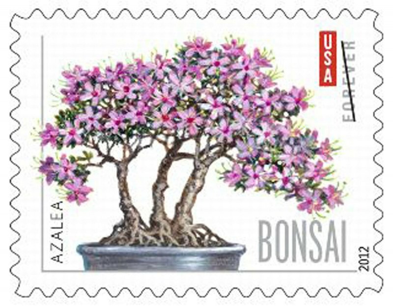 4622b, Bonsai Trees Booklet Pane of 20 GENUINE Forever Stamps - Stuart Katz 