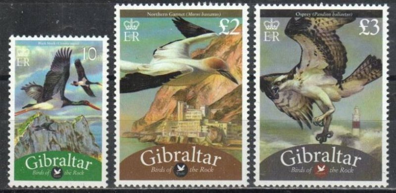 Gibraltar Stamp 1202-1204  - Birds of the Rock