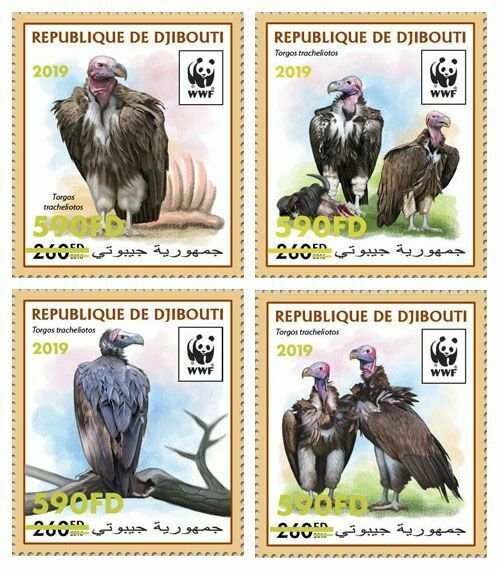 Z08 DJB190519a1 DJIBOUTI 2019 WWF Vulture MNH ** Postfrisch