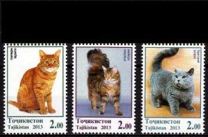Tajikistan 2013 domestic animals cats set 3v MNH