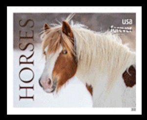 US 5891a Horses A imperf NDC single MNH 2024 after June 30