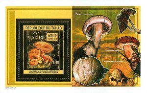 Chad 2012 Perf. Mushrooms Gold issue (2012) Luxe Block No. A 2554 - B 2554 - BL-