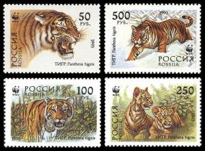 Russia WWF Siberian Tiger 4v SG#6443-6446 SC#6178-6181 MI#343-346