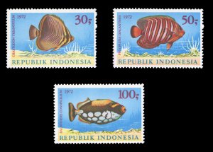 Indonesia #834-836 Cat$25.75, 1972 Fish, set of three, never hinged