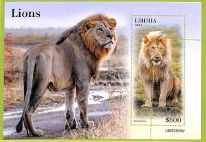 B0513 - LIBERIA - MISPERF ERROR Stamp Sheet - 2022 - Animals, Lions-