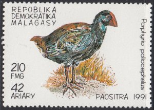 Madagascar 1991 MNH Sc #1033 210fr Porphyrio poliocephalus