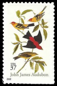 PCBstamps   US #3650 37c Scarlet & Louisiana Tanagers, MNH, (5)