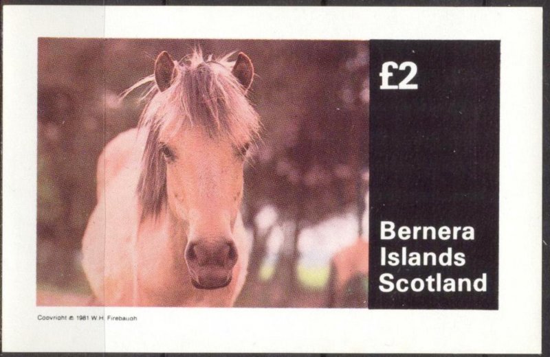 {B144} Bernera Scotland Horses S/S 2£ MNH Cinderella !!