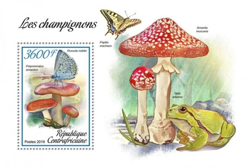 Central Africa - 2019 Mushrooms - Stamp Souvenir Sheet - CA190111b