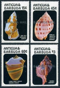 Barbuda 813-816,MNH.Michel 902-905. Conch Shells 1986.