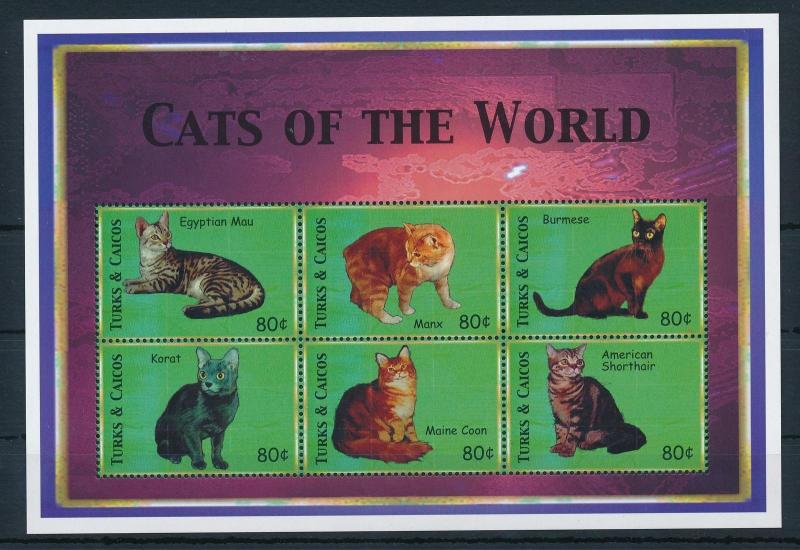 [26153] Turks & Caicos Islands 2000 Cats MNH