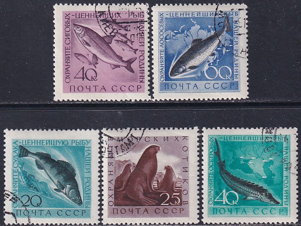 Russia 1959-60 Sc 2222-3, 2375-7 Sturgeon Salmon Seal Whitefish Perch Stamp CTO