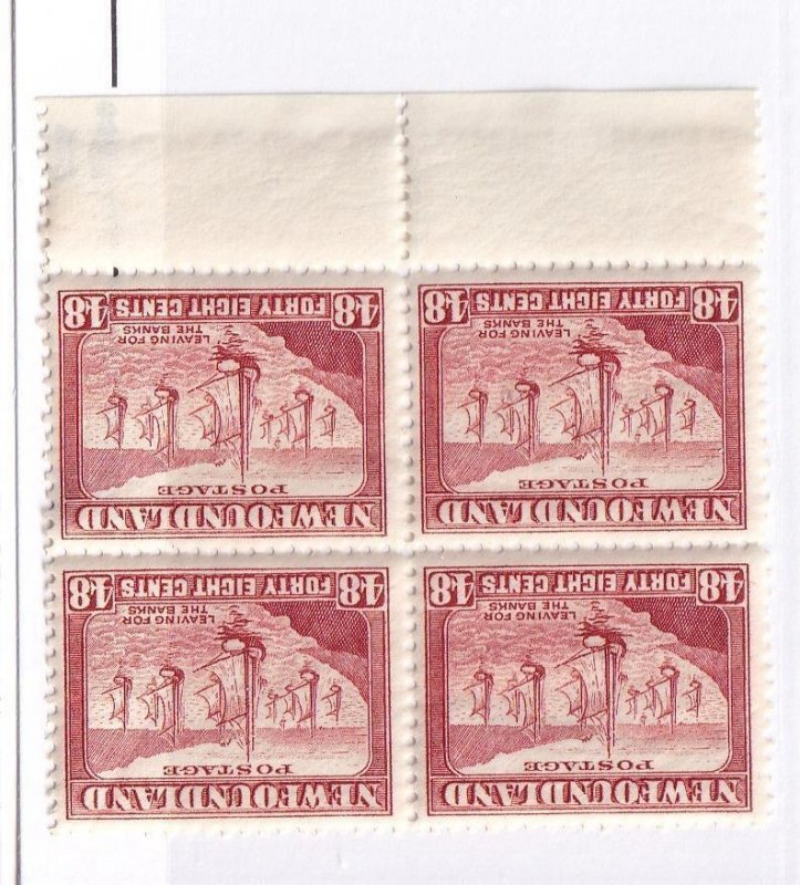 NEWFOUNDLAND PLATE BLOCKS OF 4 PLUS BLOCKS OF 4 CAT VALUE ????? 