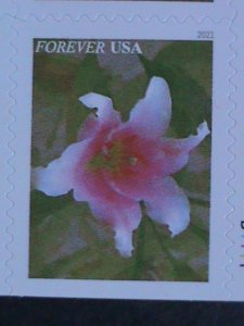 ​UNITED STATES- GARDEN BEAUTY-LOVELY FLOWERS-FOREVER MNH BOOKLET VERY FINE