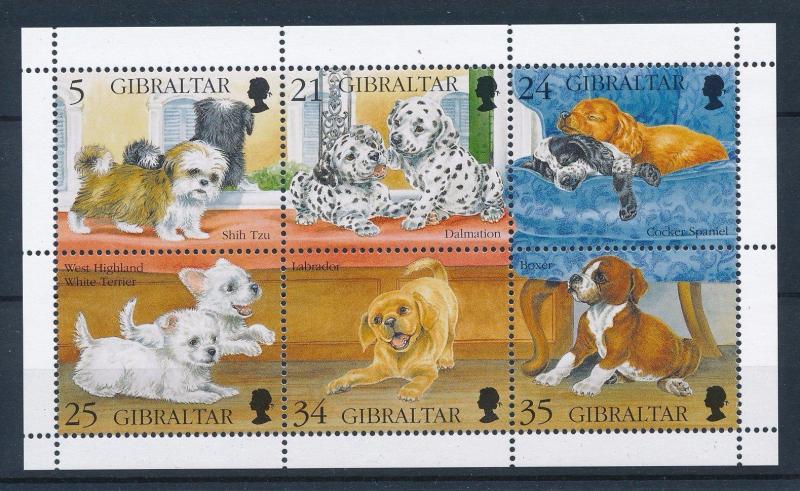 [30071] Gibraltar 1996 Animals Dogs Puppies MNH Sheet