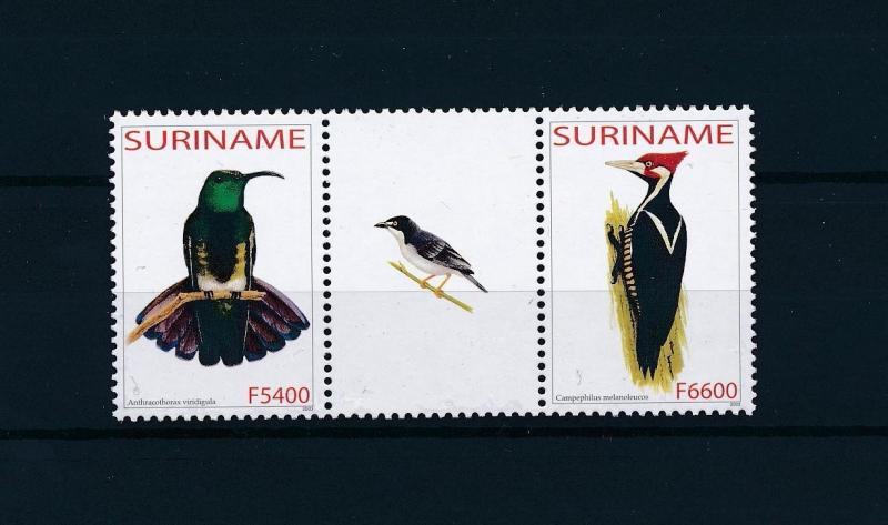 [61036] Surinam 2003 Birds Vögel Oiseaux Ucelli Gutter pair MNH 8294420015