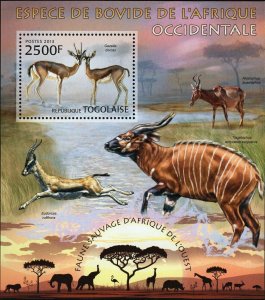 Bovid Species Stamp Western Africa Gazella Dorcas S/S MNH #4830 / Bl.784