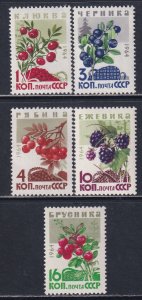 Russia 1964 Sc 2975-9 Wild Berries Stamp MNH