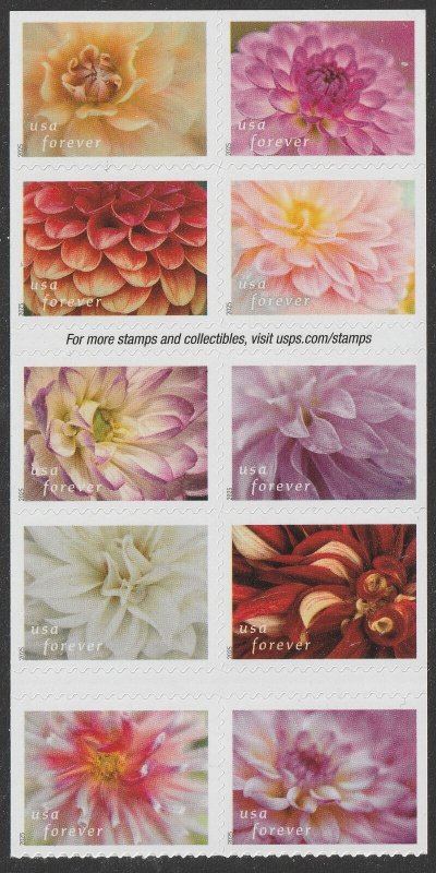 US 5992-6001 6001a Dahlias F block 10 MNH 2025
