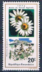 Rwanda 632 Unused Flower Pyrethrum (R0386)+