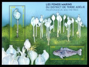 2024 FSAT Terre  Adelie Seabed MS2 (Scott NA) MNH