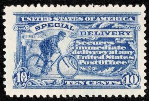 United States Scott E11 Mint never hinged.