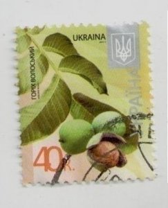 2012 Ukraine, stamp Walnut, 8th issue standards,  Flora, plants, USED