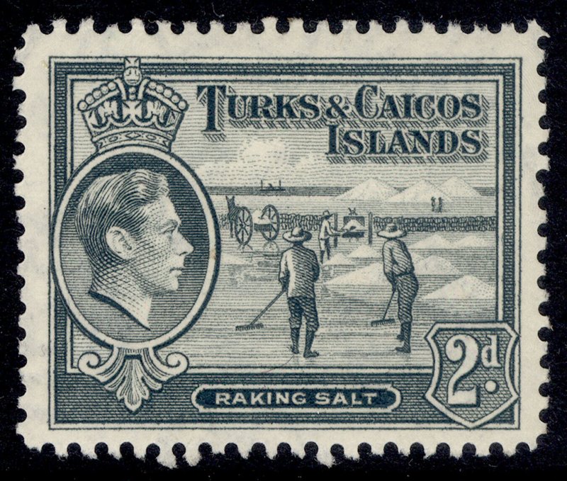 TURKS & CAICOS ISLANDS GVI SG198, 2d grey, M MINT.