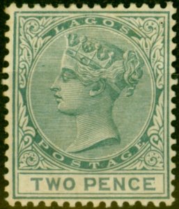 Lagos 1884 2d Grey SG23 Fine Mtd Mint