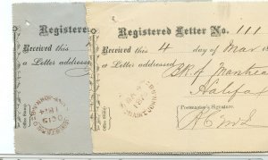 St. John New Brunswick handstamps on 1874 & 1875 double split rings REGISTERED