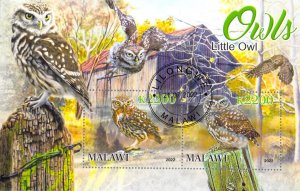 Malawi 2022 Sheet  Little Owl wildlife bird 2 values (TS0174)