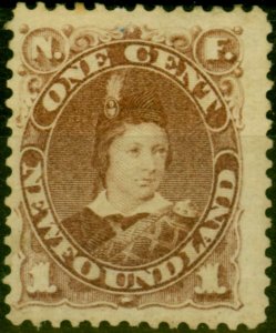 Newfoundland 1880 1c Red-Brown SG44b Fine & Fresh Unused