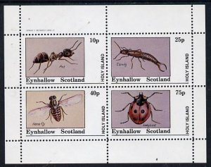 Eynhallow 1982 Insects (Ant, Earwig, Horsefly & Ladyb...