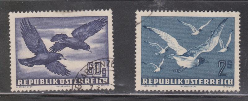 AUSTRIA Scott # C54 & C56 - Used - Airmails Barn Swallows & Blackheaded Gulls
