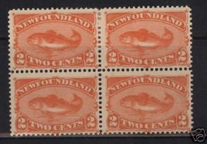 Newfoundland #48 Mint Rare Block