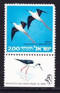 Israel #579 Protected Birds MNH single with tab