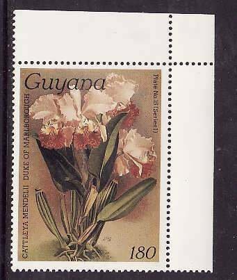 Guyana-Sc#1040a- id9-unused NH 180c-Flowers-Orchids-wmk Lotus Bud Multiple-1985-