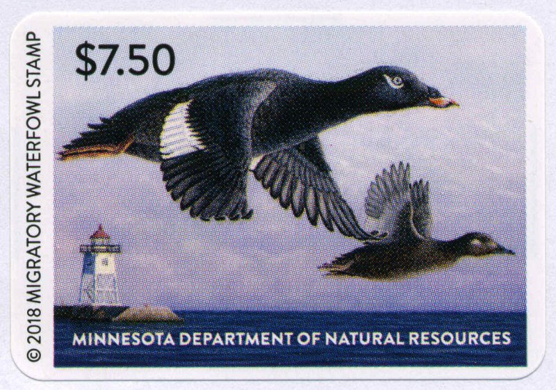 MINNESOTA #42 2018 STATE DUCK STAMP WHITEWINGED SCOTER/LIGHTHOUSE by Mark Thone 