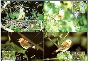 Cook Island 1989 WWF Endangered Bird Wildlife Animal Sc 1016-9 Set of 4 Max Card