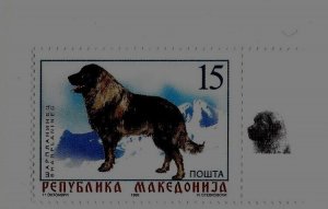 MACEDONIA Sc 145 NH issue of 1999 - DOG