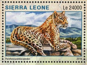 Park Serengeti Stamp Tanzania Panthera Pardus S/S MNH #7310 / Bl.992