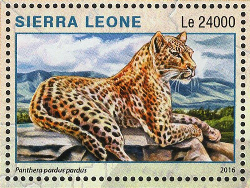 Park Serengeti Stamp Tanzania Panthera Pardus S/S MNH #7310 / Bl.992