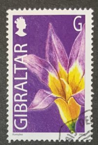 GIBRALTAR 2004 FLOWER DEFINITIVES G SG1097 FINE USED