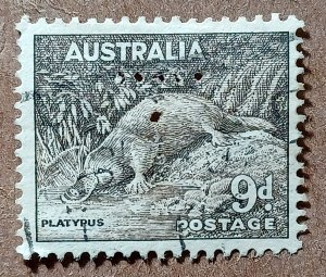 Australia #174 9p Platypus USED (1943) perfin