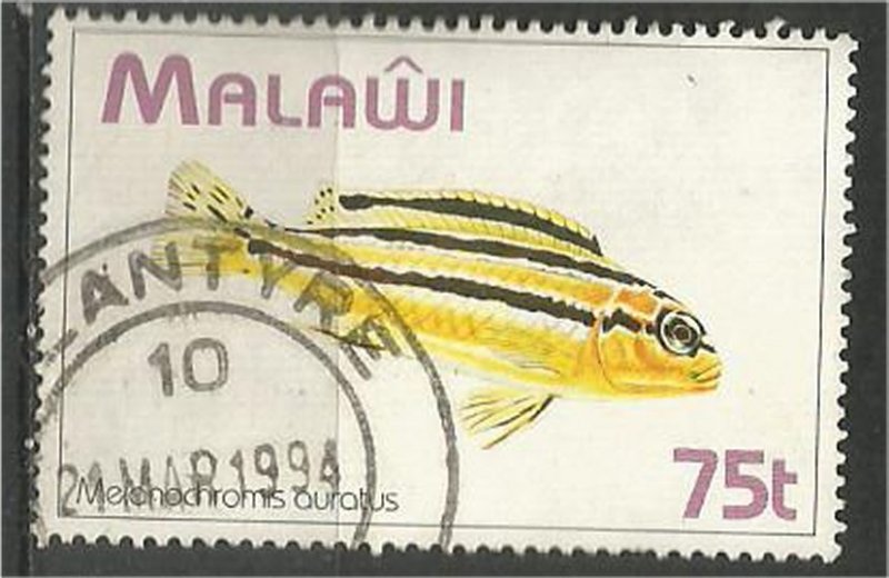 MALAWI 1994 used 75t  Fish  Scott 629