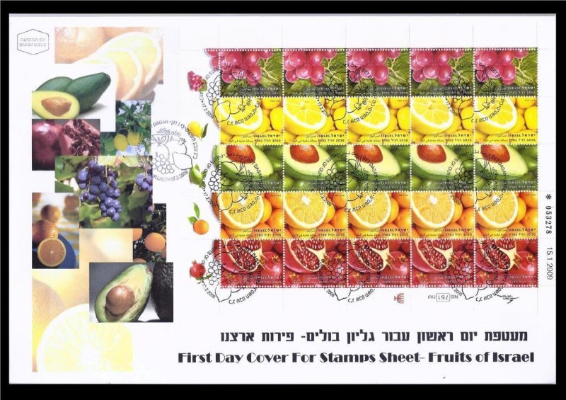 ISRAEL 2009 ISRAELI FRUITS SHEET 25 STAMPS BEAUTIFUL ITEM ON FDC FLORA