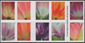 SC#5777-5786 (Forever) Tulip Blossoms Booklet Block of Ten (2023) SA